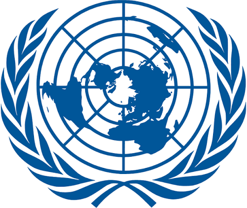 International Residual Mechanism for Criminal Tribunals (IRMCT) logo
